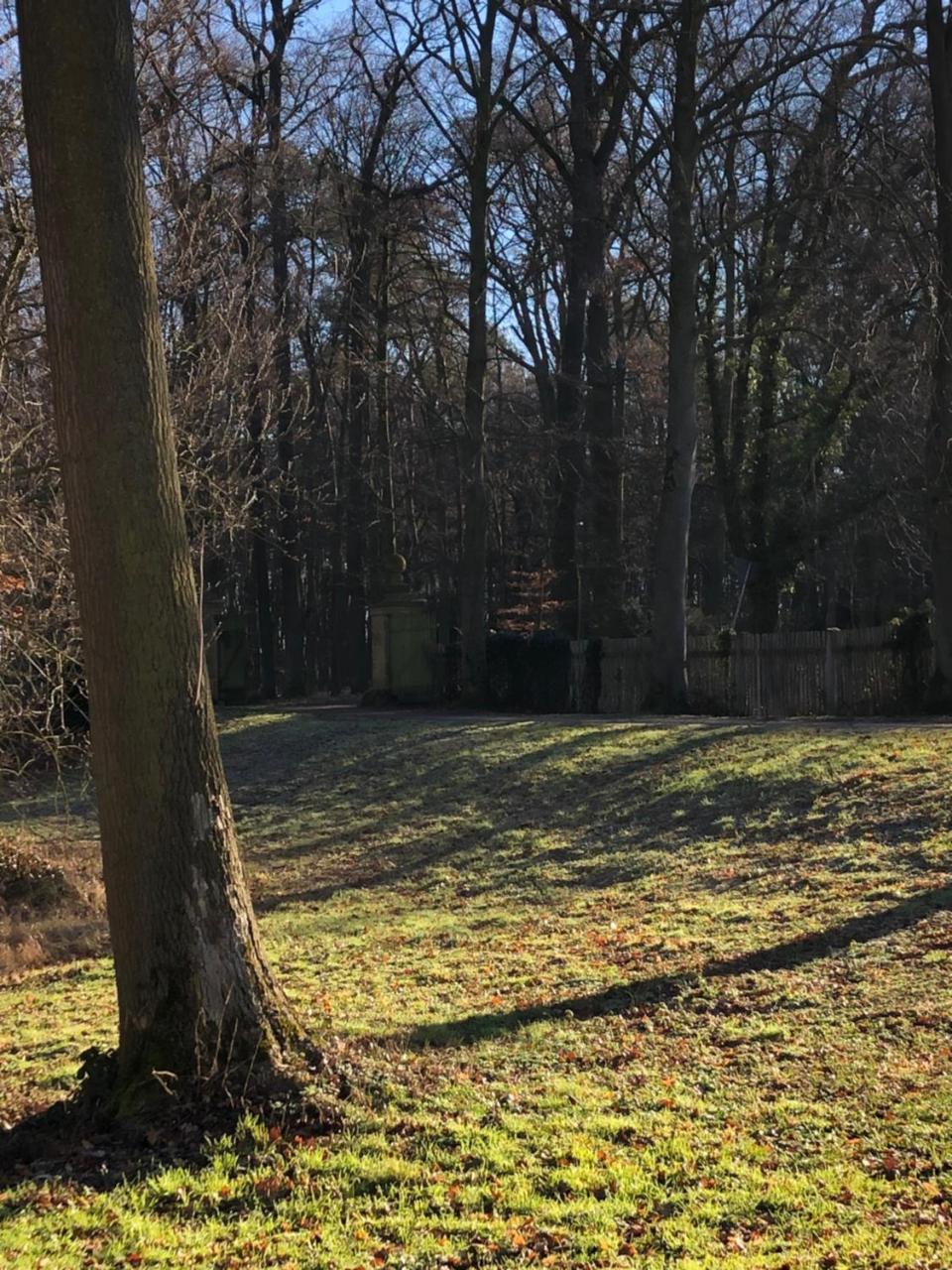 Koenig'S Hotel Am Schlosspark レーダ・ヴィーデンブリュック エクステリア 写真